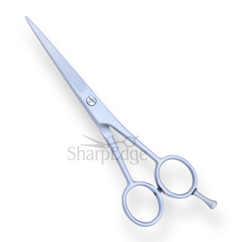 Professional Hair Dressing Scissors 